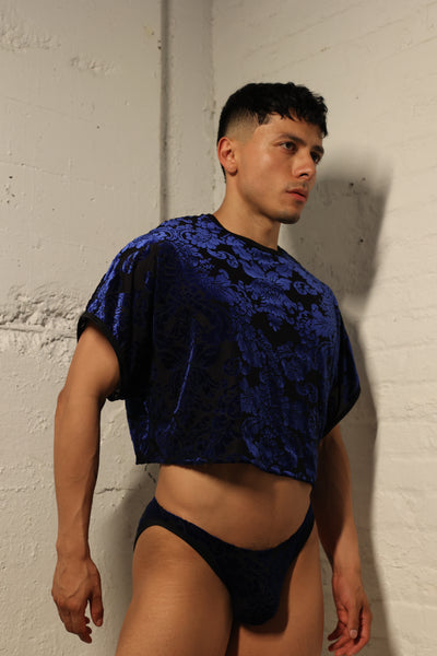 Sapphire Damask Cheeky Briefs